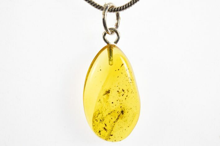 Polished Baltic Amber Pendant (Necklace) - Contains Two Flies! #328502